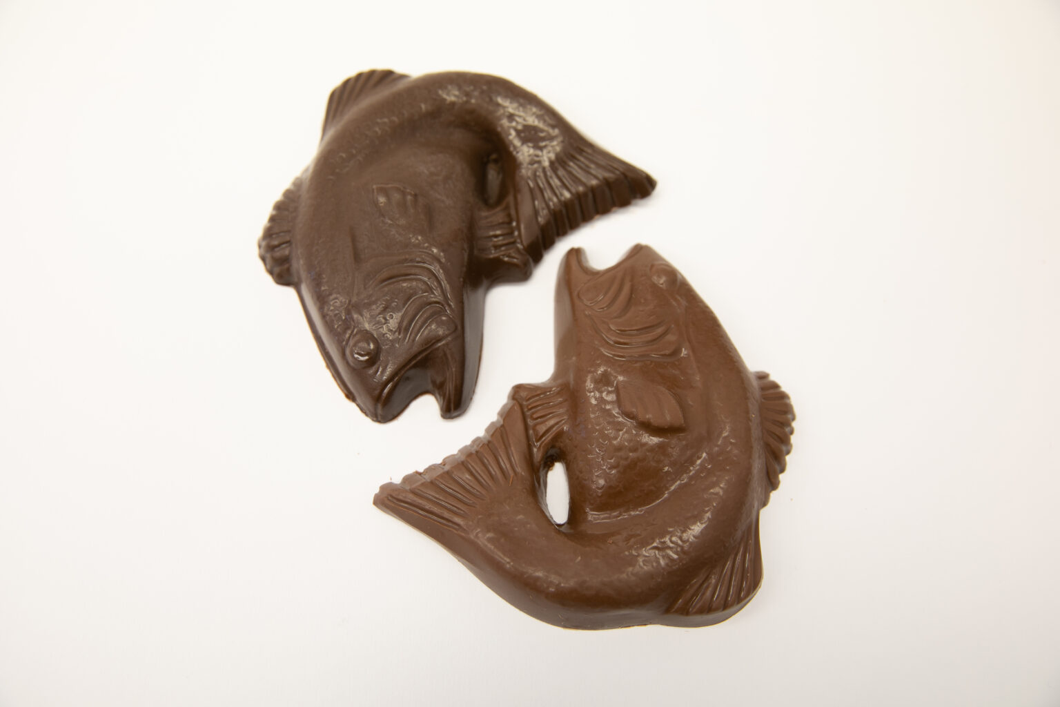 Chocolate Fish - Cottons Chocolates